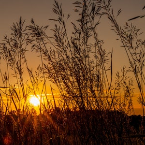 Sunset Photo, Sunset Photography Prints, Sunset Photo Print, Sunset Wall Art, Sunset Wall Decor, Landscape Photography, Fine Art Prints