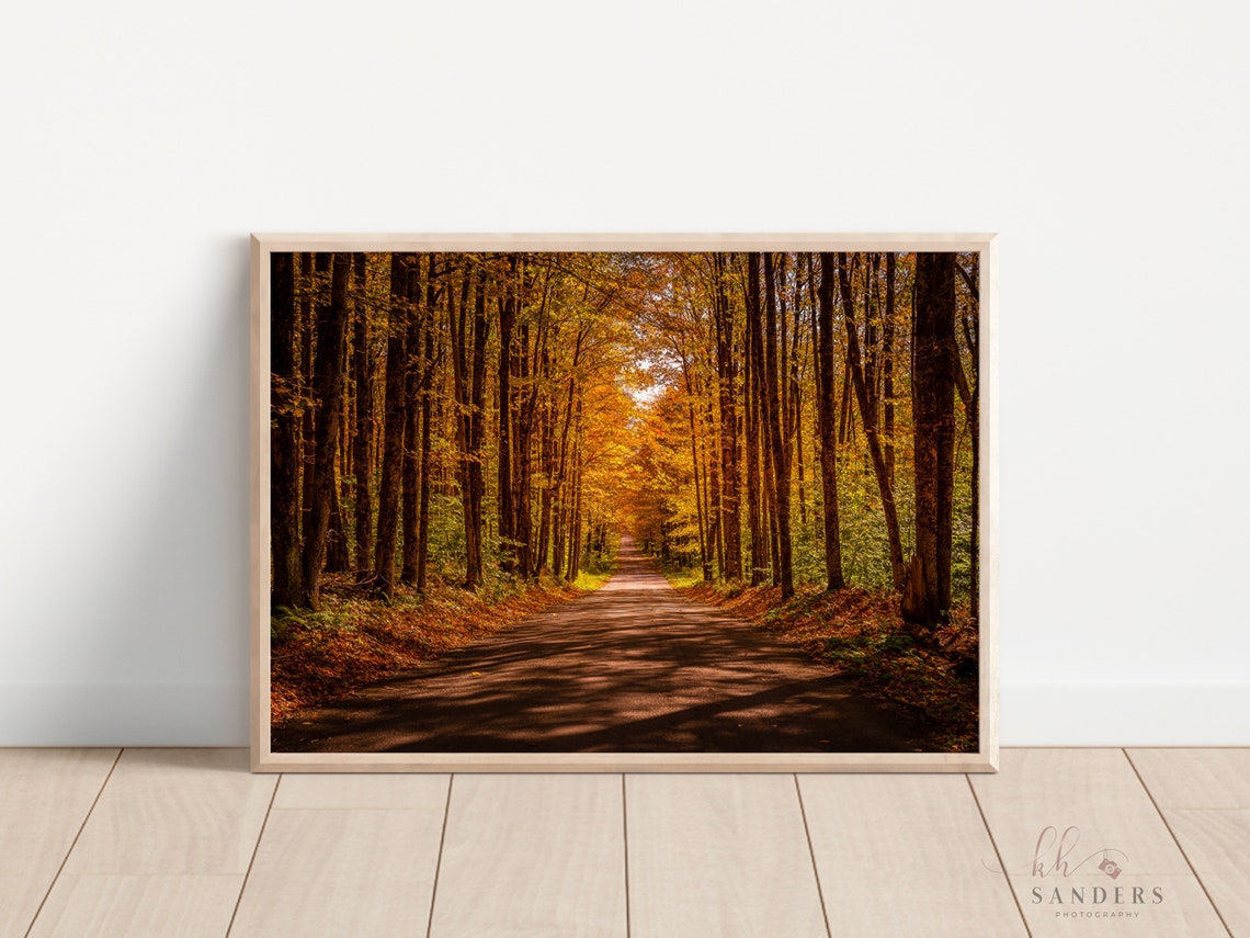 Fall Foliage, Back Country Road, Photography Prints, Autumn Photo ...