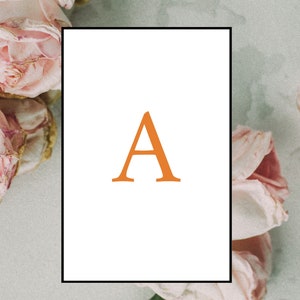 Flashcards alphabet, 8x12cm, Français, cartes alphabet