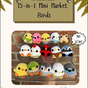 Op de afbeelding: Een PDF-haakpatroon getiteld 15-in-1 Mini Market Birds door CrochetedByKenz. De afbeelding toont vijftien kleine, kleurrijke, pluche-achtige gehaakte vogels op een doorzichtige trapvormige standaard, met een tekstballon met NO SEW!