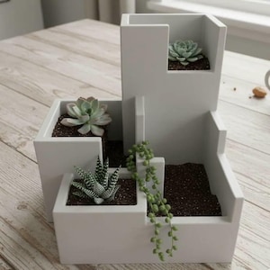 May include: A white, tiered planter with three sections, each holding a different succulent plant. The planter has a modern, geometric design. The succulents include a rosette-shaped plant, a zebra plant, and a trailing string of pearls.
