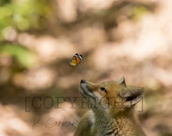 Butterfly Kisses