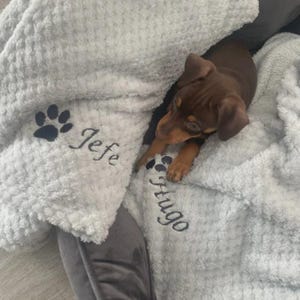 May include: A light gray waffle-textured blanket featuring embroidered black paw prints and the names Jefe and Hugo. A small brown puppy with short fur is resting on the soft fabric, which is draped over a dark gray pet bed surface.