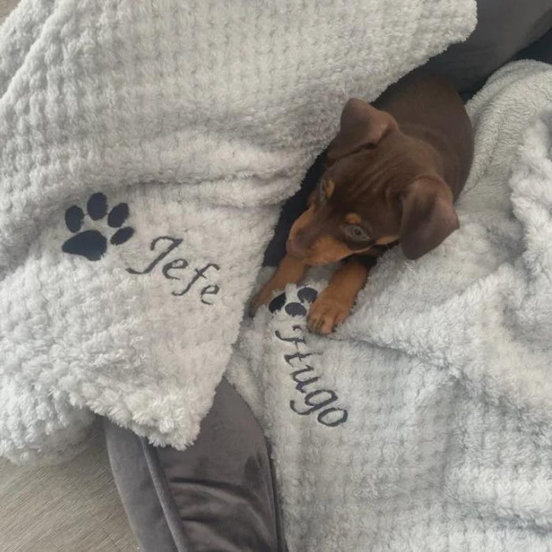 May include: A light gray waffle-textured blanket featuring embroidered black paw prints and the names Jefe and Hugo. A small brown puppy with short fur is resting on the soft fabric, which is draped over a dark gray pet bed surface.