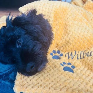Personalised Waffle Pet Blanket, Custom Embroidered Dog Cat Name Throw