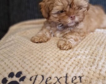 Personalised, embroidered dog/cat puppy/kitten/pet soft waffle blanket.