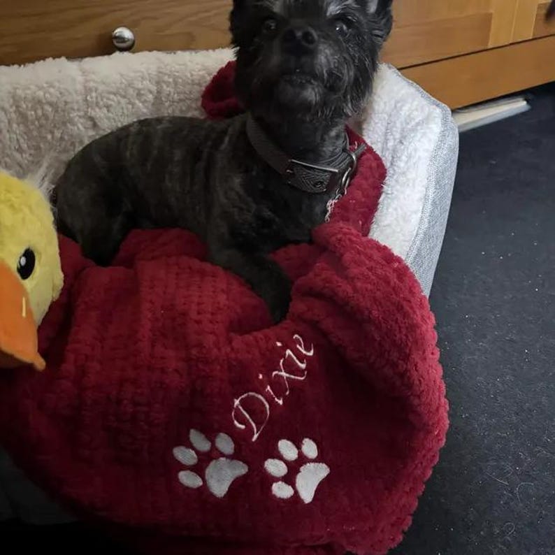 May include: A small dark brindle dog with a grey collar resting in a white-lined pet bed covered by a textured red blanket. The blanket features the embroidered white name Dixie and two white paw prints near the bottom edge.