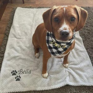 May include: A brown and white dog sits on a white textured blanket featuring the embroidered name Bella and two paw prints. The dog wears a black and white buffalo plaid bandana with the name Bella embroidered in gold thread on the front.