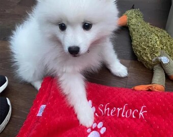 Manta suave tipo gofre personalizada con bordado a medida para perros, gatos, cachorros, gatitos y otras mascotas (Reino Unido).