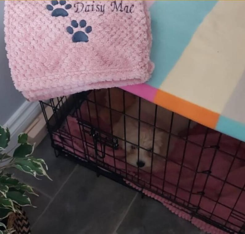 May include: A black metal wire pet crate containing a small light-colored puppy, covered by a pink textured blanket with two dark paw prints and the embroidered text Daisy Mae, and a multi-colored striped fabric top cover.