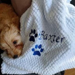 May include: A light blue textured blanket featuring the embroidered name Baxter in dark blue script, accompanied by two dark blue paw print designs. The soft, dimpled fabric is draped near a small, light brown, fluffy puppy.