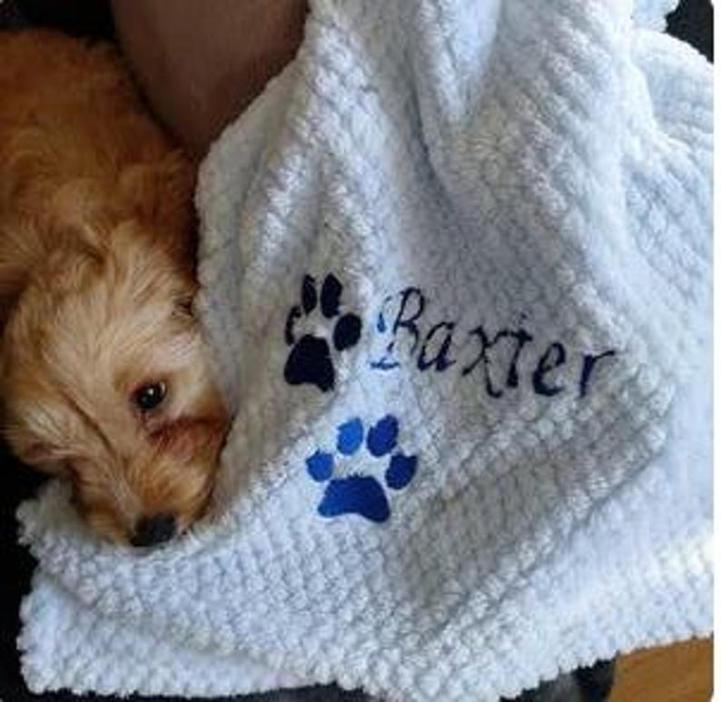 May include: A light blue textured blanket featuring the embroidered name Baxter in dark blue script, accompanied by two dark blue paw print designs. The soft, dimpled fabric is draped near a small, light brown, fluffy puppy.