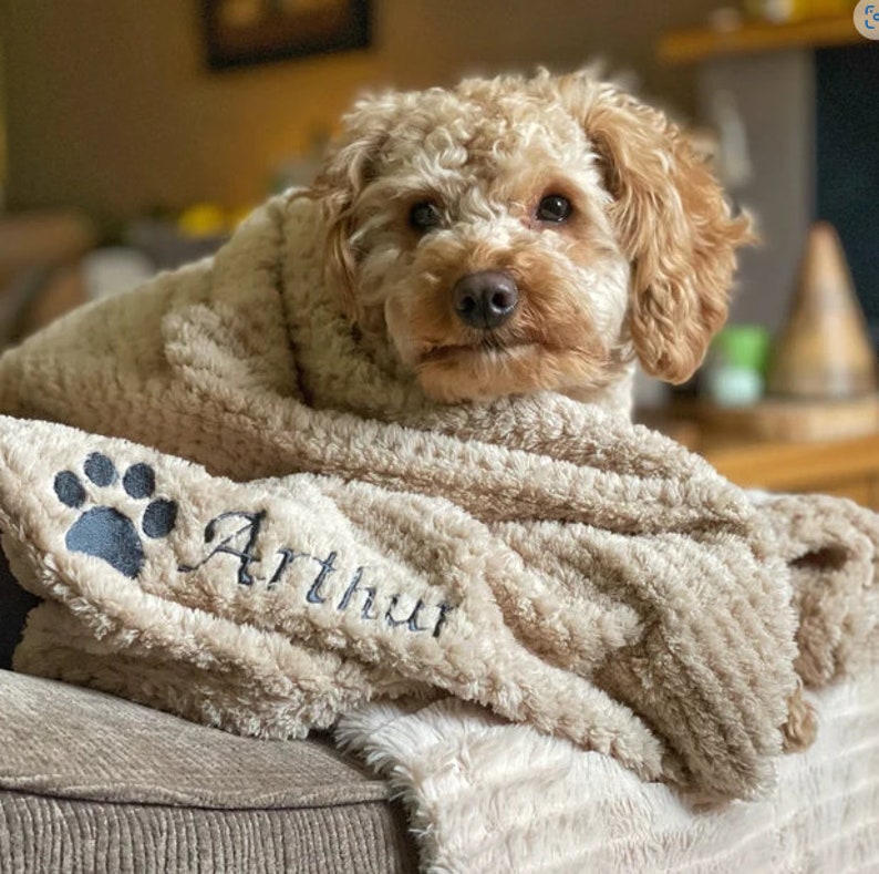 Best Cavapoo Gifts