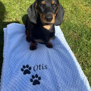 May include: A black and tan dachshund sitting on a light blue textured blanket. The blanket features an embroidered design with two dark paw prints and the name Otis written in a cursive script font in the lower left corner.