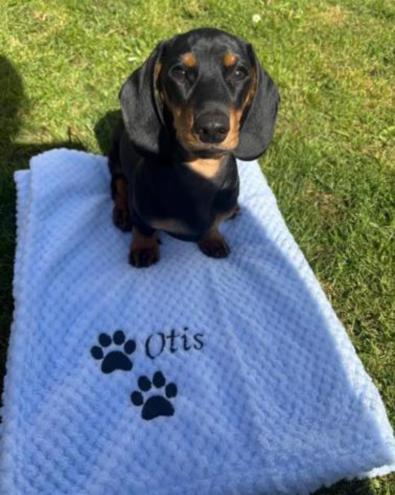 May include: A black and tan dachshund sitting on a light blue textured blanket. The blanket features an embroidered design with two dark paw prints and the name Otis written in a cursive script font in the lower left corner.