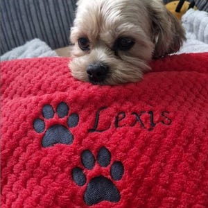 May include: A small, light-colored dog with dark eyes rests its chin on a bright red, textured blanket. The blanket features two dark gray embroidered paw prints and the name Lexis stitched in black thread across the fabric surface.