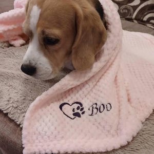 May include: A light pink, textured, dimpled fabric blanket featuring an embroidered design of a heart with a paw print inside and the name Boo in black thread, draped over the head and shoulders of a brown and white beagle dog.