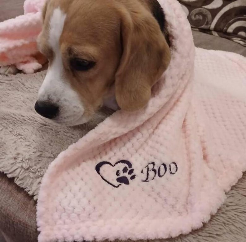 May include: A light pink, textured, dimpled fabric blanket featuring an embroidered design of a heart with a paw print inside and the name Boo in black thread, draped over the head and shoulders of a brown and white beagle dog.