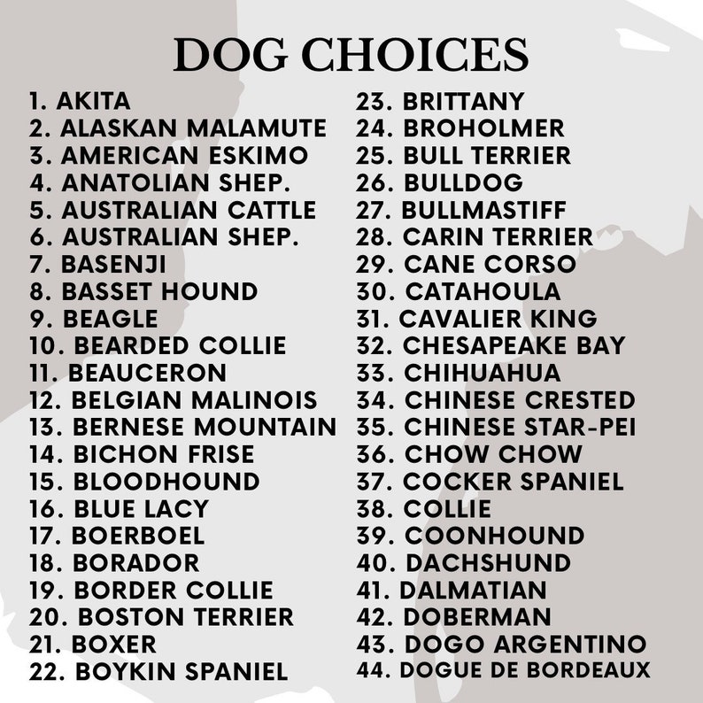 EMBROIDERED Dog Ears With Personalized Names Custom Dog Ears Etsy