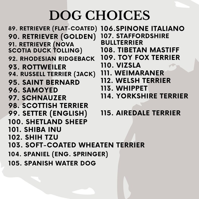 EMBROIDERED Dog Ears With Personalized Names Custom Dog Ears Etsy