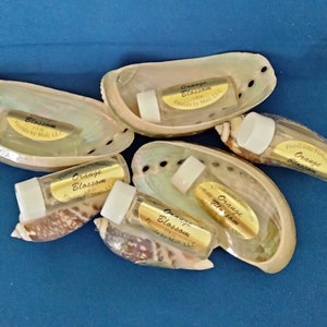 May include: Six small glass bottles of orange blossom perfume, each with a gold label that reads "Orange Blossom" and "Floralinds Perfumes", are displayed in seashells.