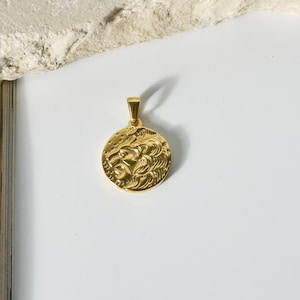 Könnte beinhalten: Goldfarbener Anhänger mit einem detaillierten Löwenkopf-Design. Der Anhänger ist rund und hat eine glatte, polierte Oberfläche.