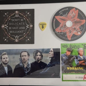 May include: A framed display featuring a Shinedown Amaryllis CD signed in silver marker, a yellow guitar pick with a black logo, a square card with the text "DON'T BE DELICATE BE VAST AND BRILLIANT," a band photograph, and a green Radio S concert pass.