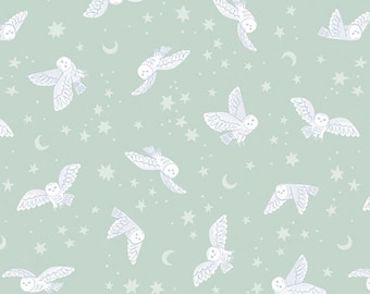 Owl Fabric, Night Owls Twilight Creatures on Mint by Natàlia Juan Abelló for Riley Blake Quilting Cotton Fabric, C15362-MINT