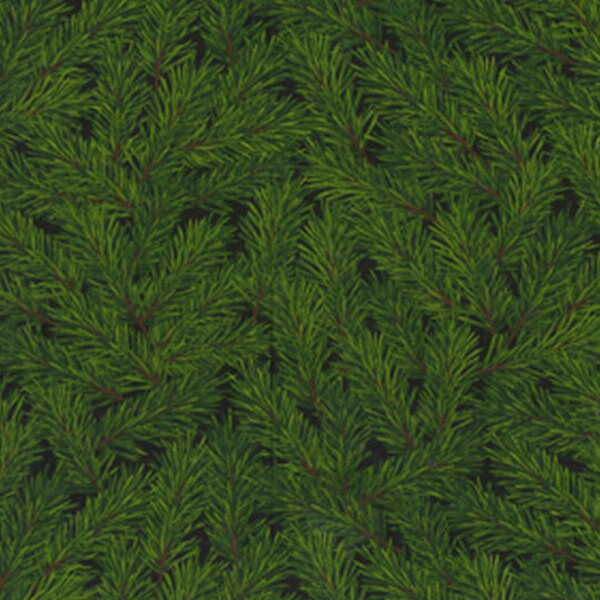 Tree Branches - Etsy