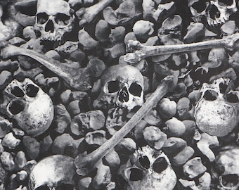 Skull Fabric, Skulls and Bones on Black from the Wicked Collection by Timeless Treasures Quilting Cotton Fabric Digitally Printed CD2767-ASH