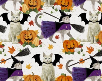 Halloween Cats Fabric, Cat Witches, Vampire, and Pumpkins by David Textiles Novelty Cotton Fabric