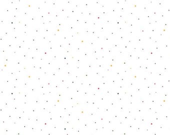 Rainbow Blender Fabric, Rainbow Dapple Dot on White by Riley Blake Designs Quilting Cotton Fabric, C645-RAINBOW