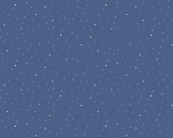 Blue Dot Wideback Fabric, 3 Yard Precut Dapple Dot on Denim Blue Wide Back 108" Riley Blake Quilting Cotton Fabric, 3YD-WB640-DENIM