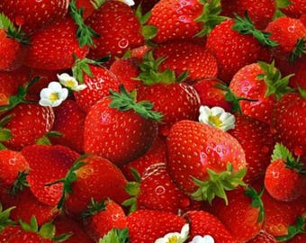 Strawberry Fabric, Strawberry Quilting Cotton Fabric by Elizabeth Studios, Summer Fruit Fabric, Summer Fabric