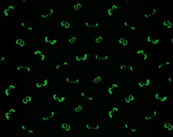 Glow in the Dark Halloween Eyes on Purple Eggplant or Green Ghoul by Riley Blake Fabrics Quilting Cotton Fabric