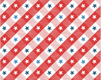 Buffalo Check Red Fabric, Picnic Check Red by Andi Metz for Kanvas Studio Benartex Quilting Cotton Fabric, July 4th Plaid, 12726B-10