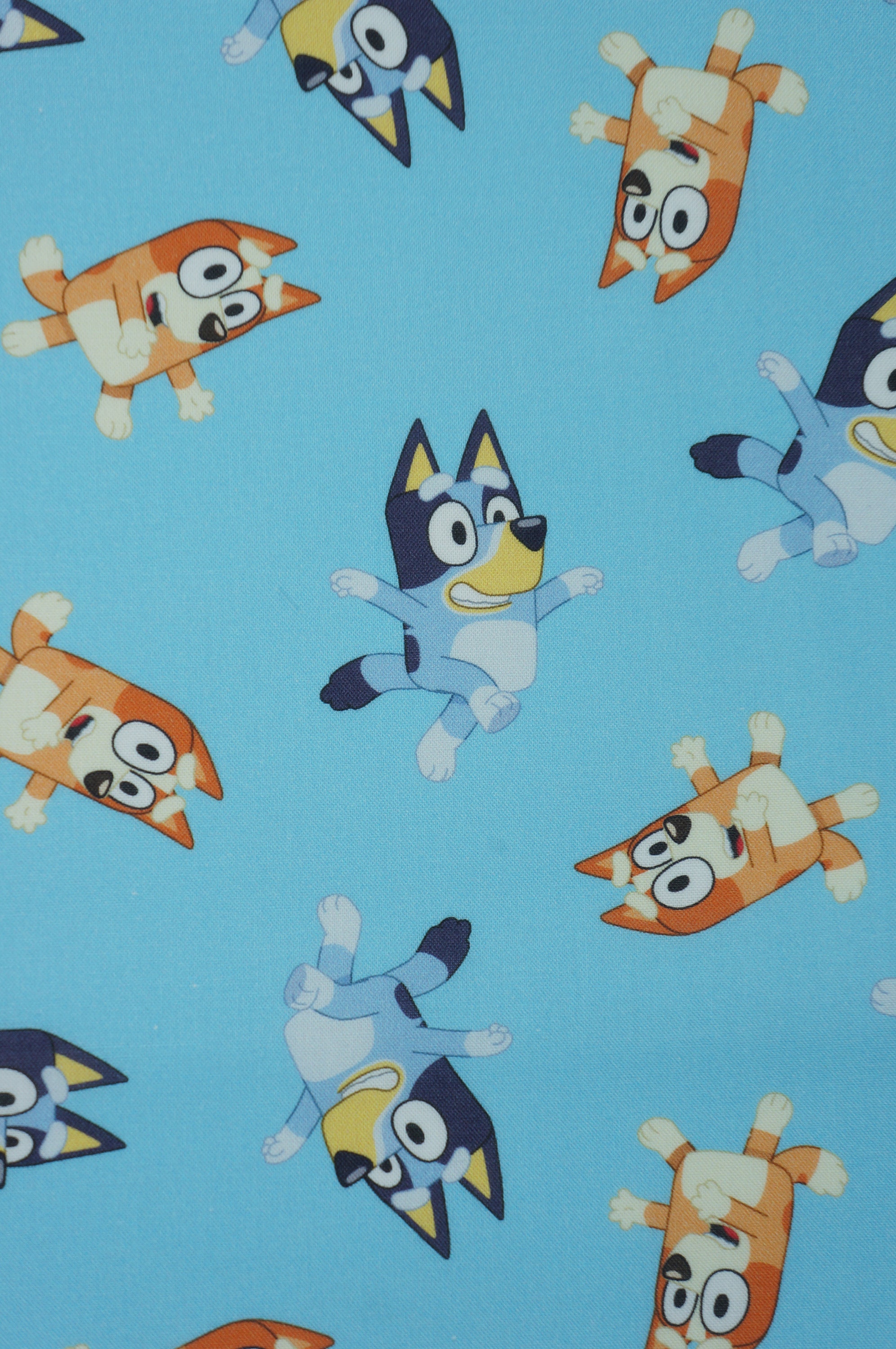 Bluey Fabric, Disney Junior Bluey and Bingo on Light Blue Licensed by  Springs Creative Novelty Cotton Fabric, Disney Bluey Fabric -  Denmark