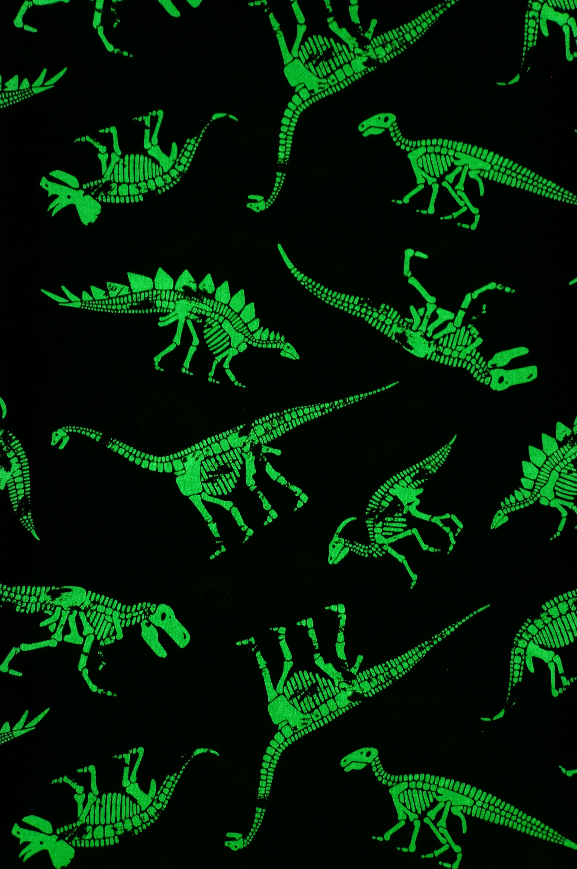 Dinosaur Bones Glow Fabric 