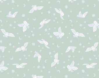 Owl Fabric, Night Owls Twilight Creatures on Mint by Natàlia Juan Abelló for Riley Blake Quilting Cotton Fabric, C15362-MINT