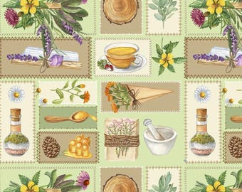 Apothecary Fabric, Nature's Medicine Apothecary by David Textiles Novelty Cotton Fabric, Herb Fabric