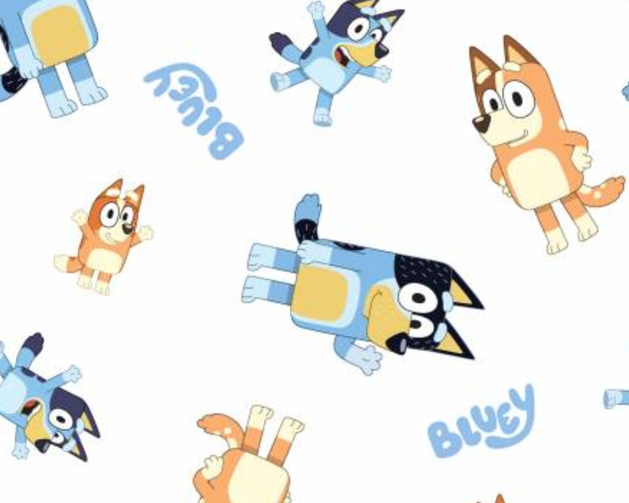 Bluey Fabric, Disney Junior Bluey and Family on White Licensed by