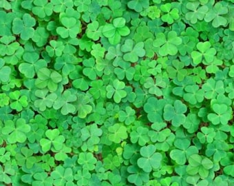 Green Clover Fabric, Realistic Green Clover by Elizabeth Studios Quilting Cotton Fabric, St Patrick's Day Fabric, 624E-GREEN