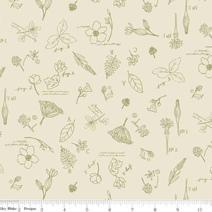 K&ouml;nnte beinhalten: Ein beigefarbener Stoff mit einem sich wiederholenden Muster aus gr&uuml;nen Linienzeichnungen verschiedener Pflanzen und Blumen. Das Muster enth&auml;lt die W&ouml;rter "wood anemone", "fig 1", "fig 2", "fig 3" und "N1".