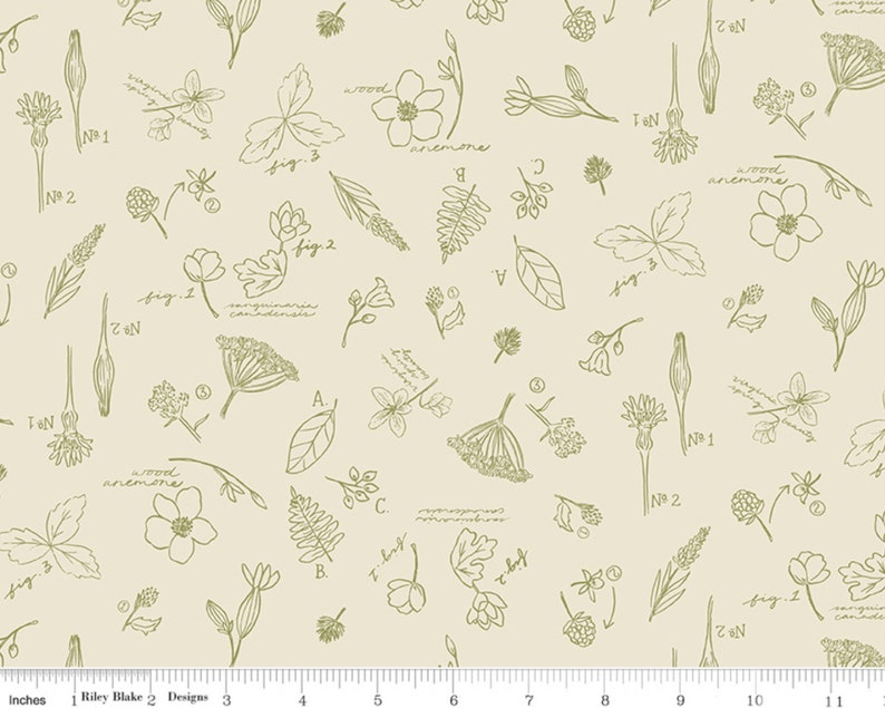 K&ouml;nnte beinhalten: Ein beigefarbener Stoff mit einem sich wiederholenden Muster aus gr&uuml;nen Linienzeichnungen verschiedener Pflanzen und Blumen. Das Muster enth&auml;lt die W&ouml;rter "wood anemone", "fig 1", "fig 2", "fig 3" und "N1".