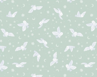 Owl Fabric, Night Owls Twilight Creatures on Mint by Natàlia Juan Abelló for Riley Blake Quilting Cotton Fabric, C15362-MINT