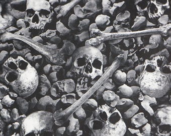Skull Fabric, Skulls and Bones on Black from the Wicked Collection by Timeless Treasures Quilting Cotton Fabric Digitally Printed CD2767-ASH