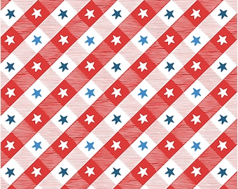 Buffalo Check Red Fabric, Picnic Check Red by Andi Metz for Kanvas Studio Benartex Quilting Cotton Fabric, July 4th Plaid, 12726B-10