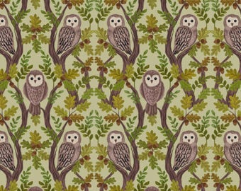 Owl Fabric, Wise Owls on Green Old Quercus by Lewis and Irene Quilting Cotton Fabric A932.B