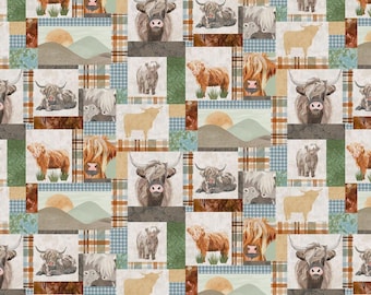 Highland Cow Fabric, Highland Cows Patch on Plaid by Studio E Quilting Cotton Fabric, Highland Cows Patchwork 8615S-36