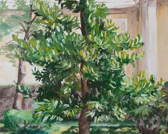 Magnolia, oil on canvas, 50x70